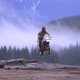 Illustration for article titled The Kawasaki KLR650 Cant Be Killed